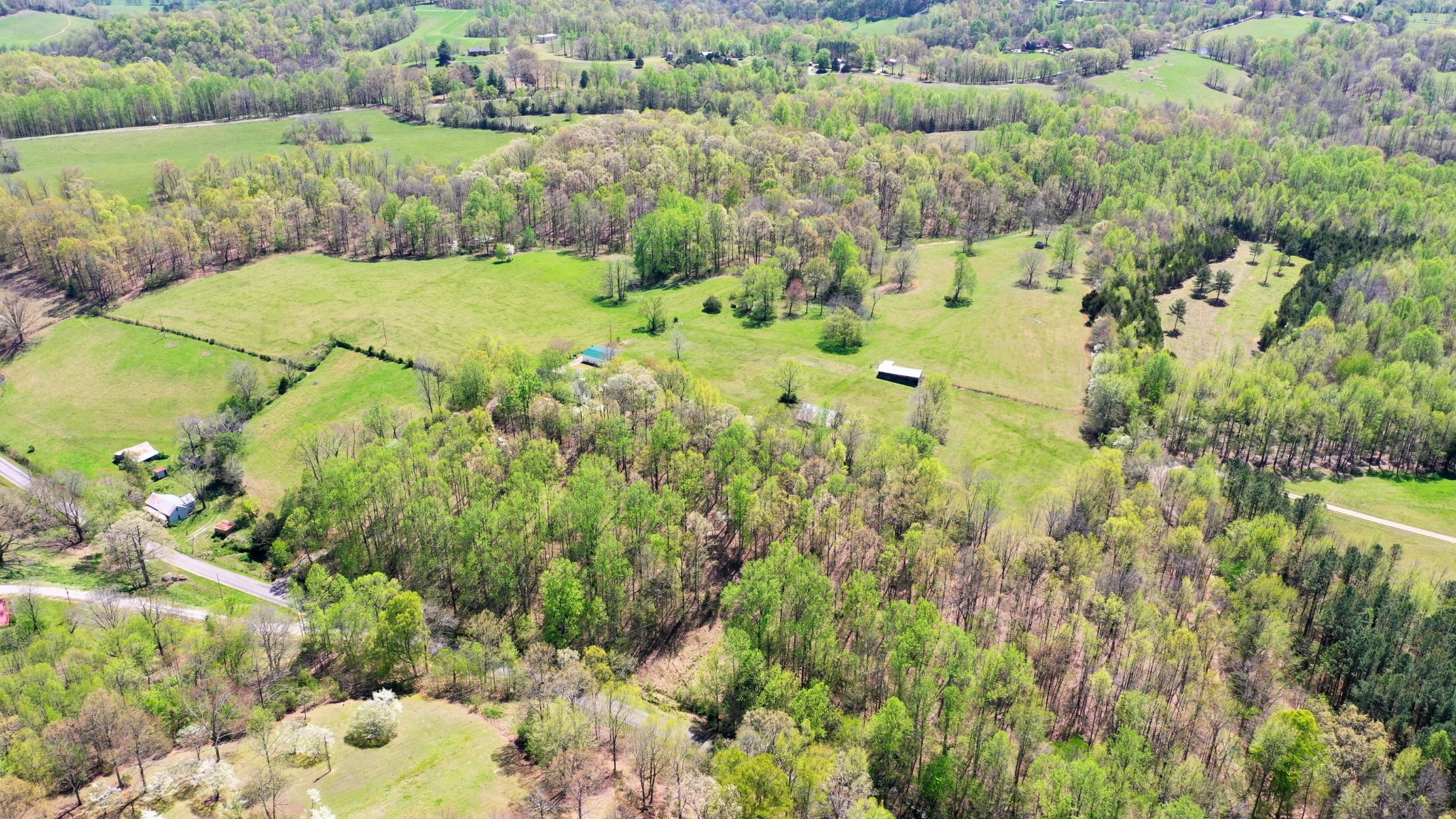 560 Big Spring Hollow Road Pulaski, TN 38478 - Photo 38 of 41 a view of a garden with a lake