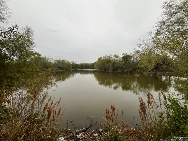 a view of a large body of water surrounded by trees