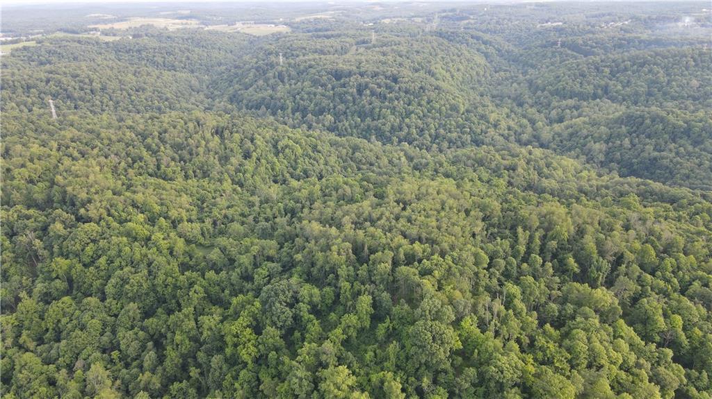 0 Fallen Timber Road Avella, PA 15312 - Photo 12 of 18
