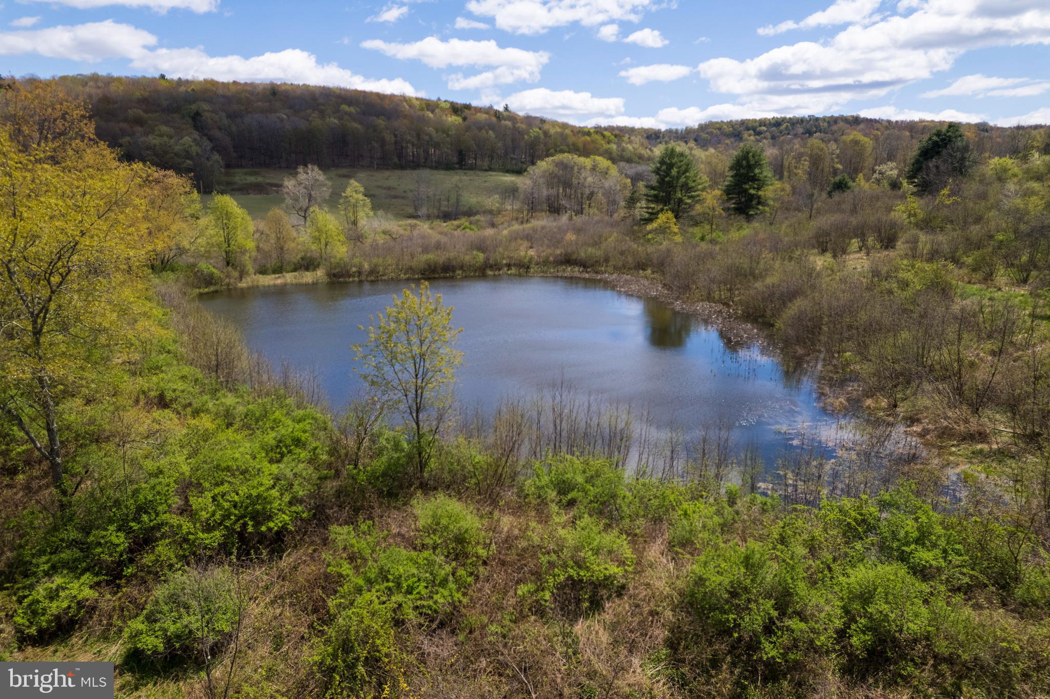 0 Holbrook Road Montrose, PA 18801 - Photo 15 of 147