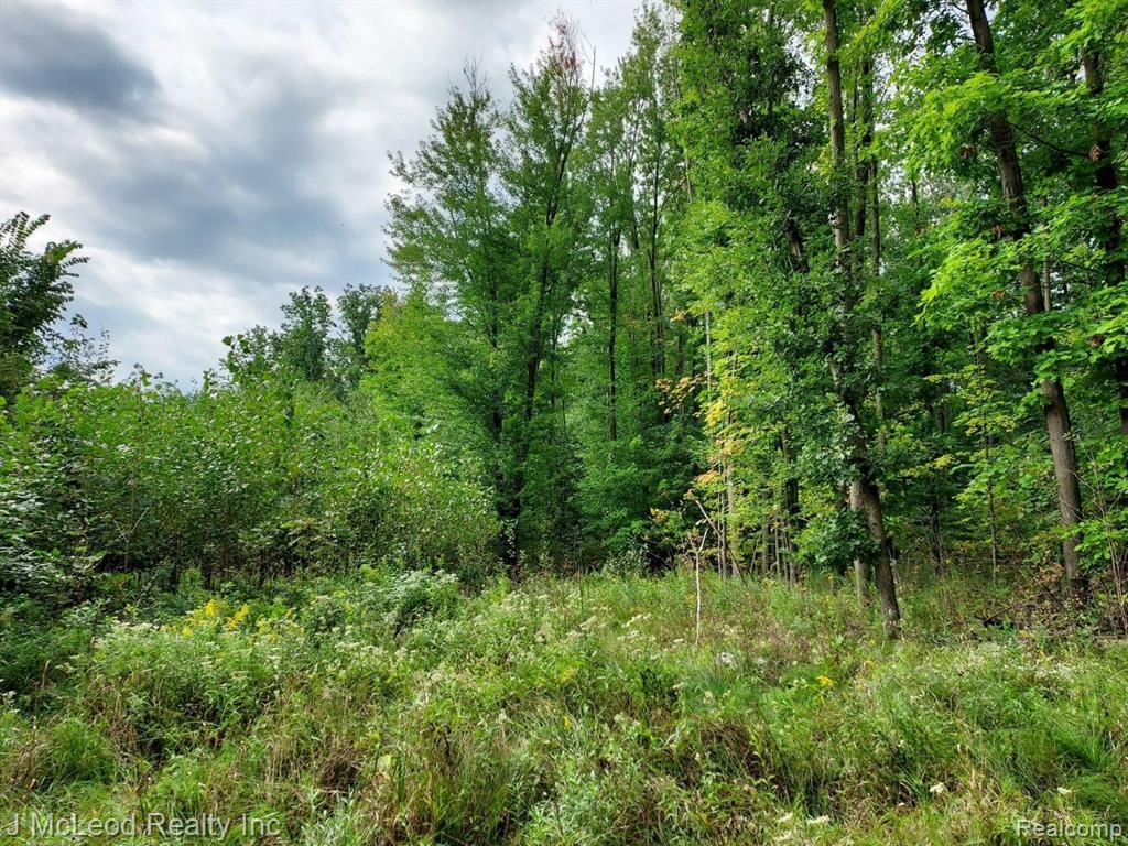 Vl Vassar Road Millington, MI 48746 - Photo 17 of 26