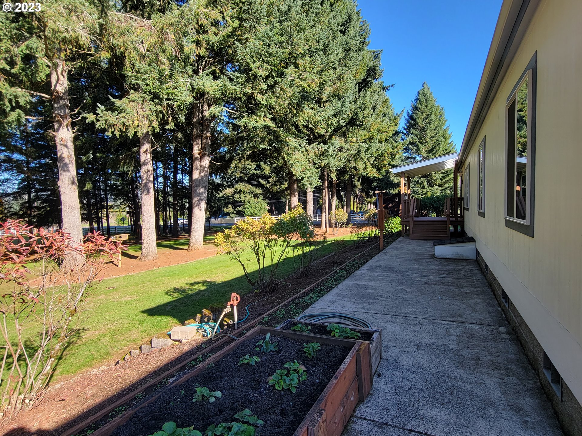 77088 London Road Cottage Grove, OR 97424 - Photo 6 of 47 Backyard