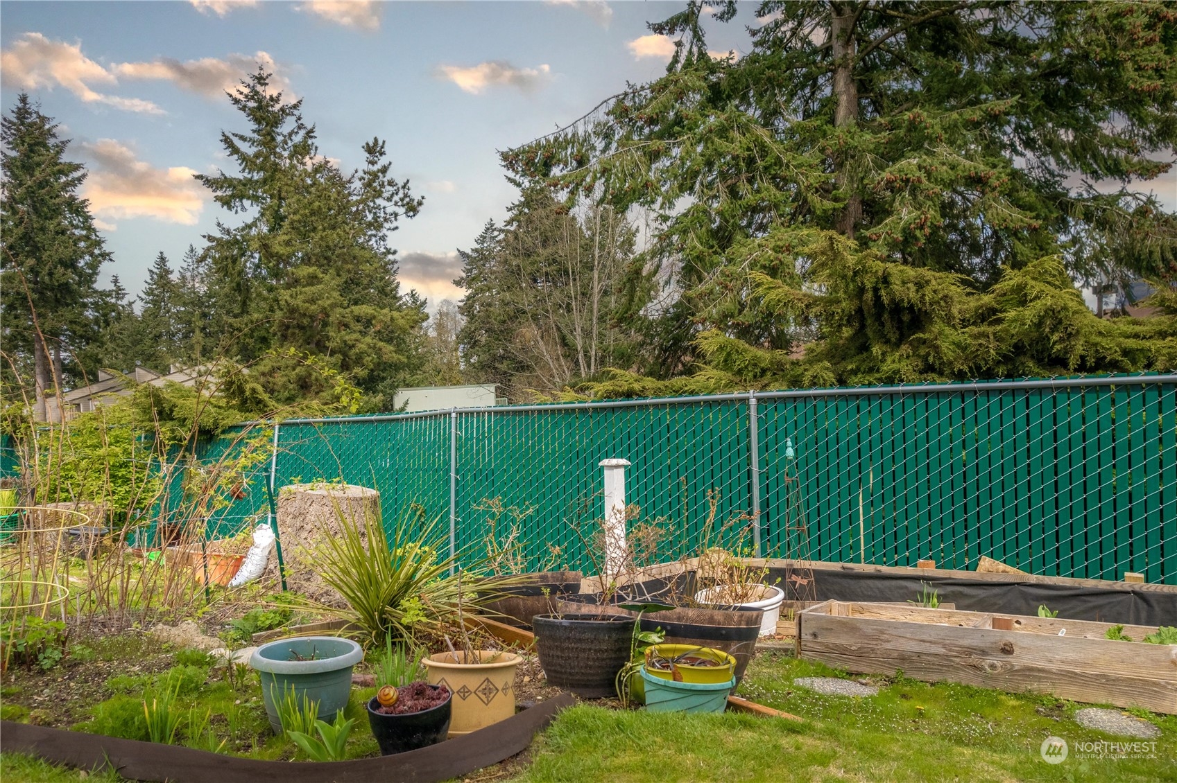 925 South 310th Place Federal Way, WA 98003 - Photo 7 of 39 a view of a chairs in a backyard