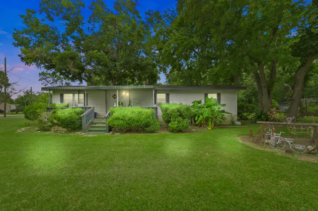 a view of backyard with potted plants and a large tree