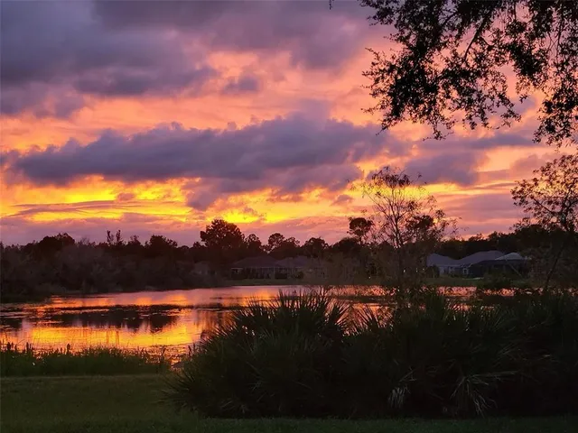 $3,100 | 18048 Arbor Crest Drive, Tampa, FL 33647