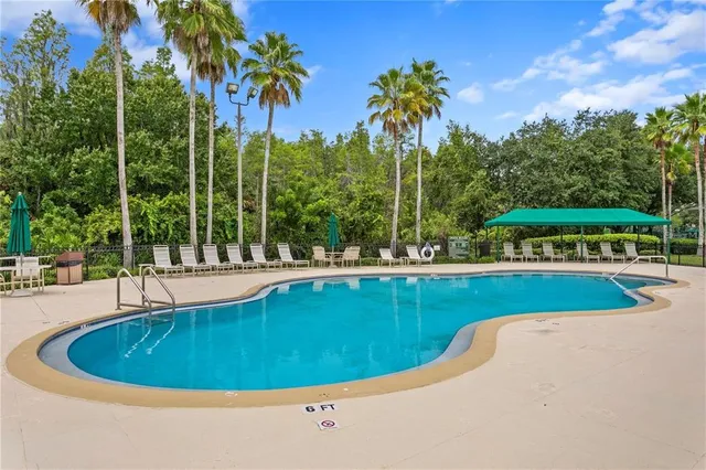 $3,100 | 18048 Arbor Crest Drive, Tampa, FL 33647