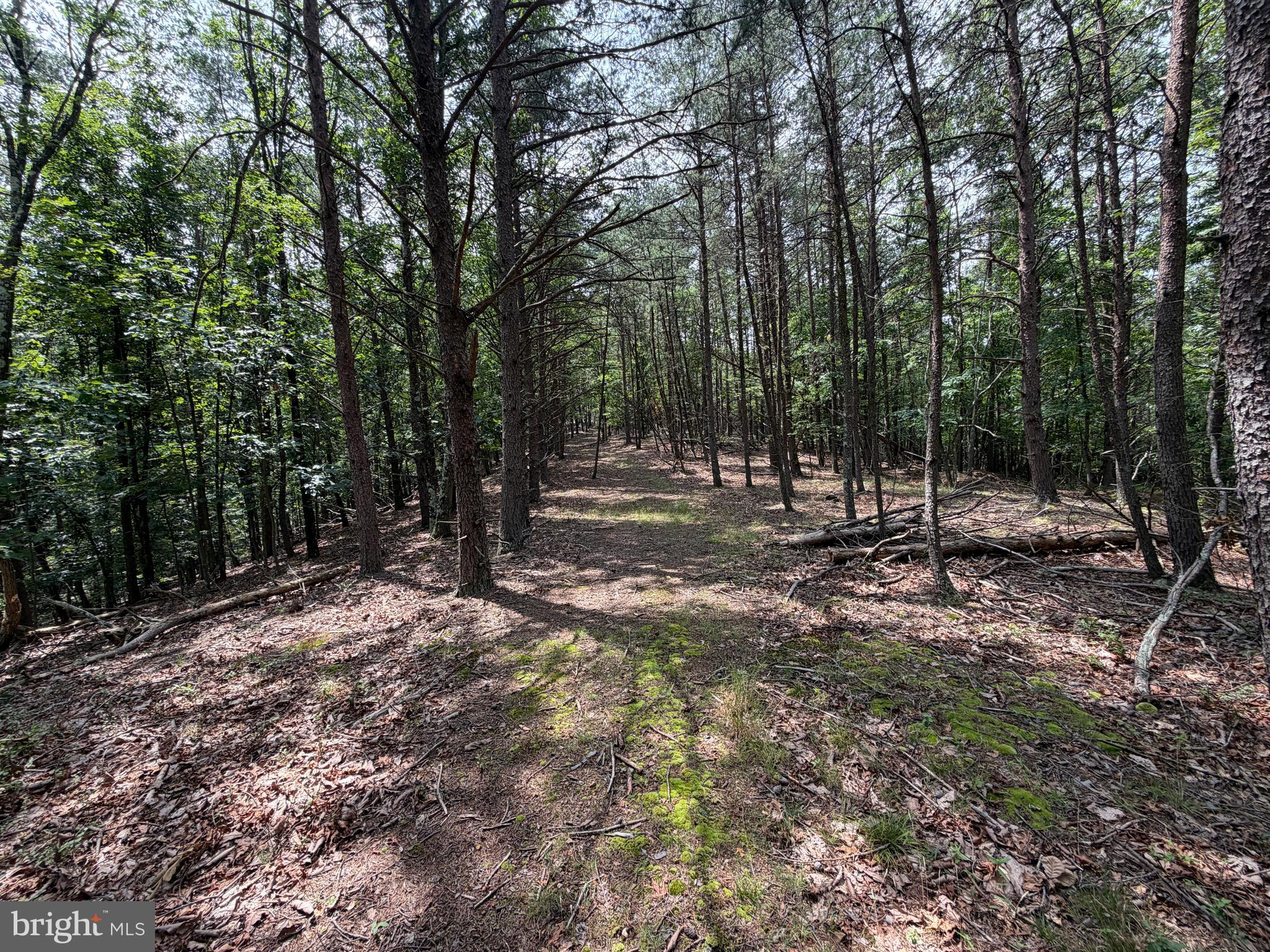 14 Shadow Knolls Springfield, WV 26763 - Photo 19 of 67