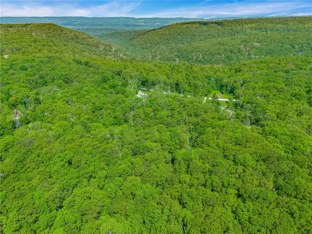 a view of a lush green space