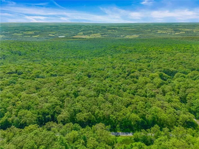 a view of yard with green space