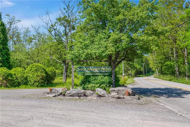 a backyard of a house with plants and large trees