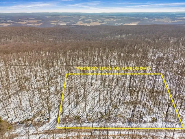 a view of yard with ocean view