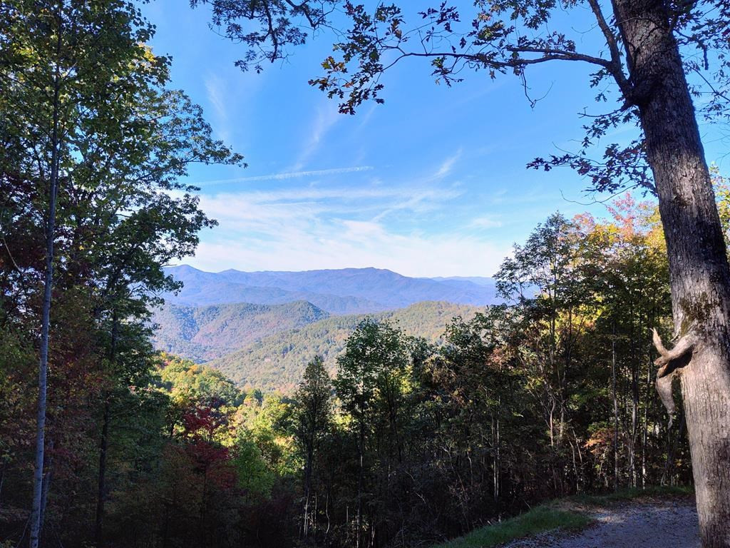 0 East Alarka Road Bryson City, NC 28713 - Photo 25 of 28