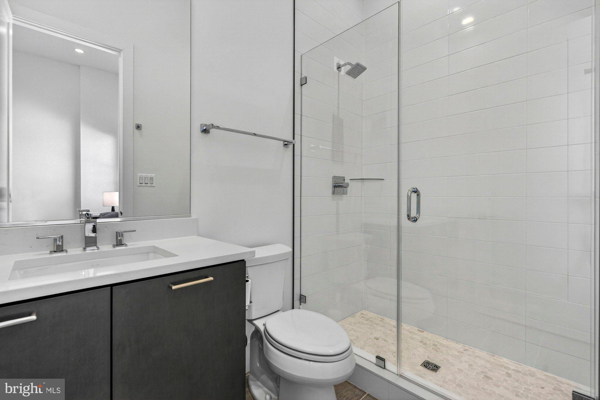 1221 Riley Preserve Court McLean, VA 22102 - Photo 53 of 94 a bathroom with a shower sink vanity mirror and toilet