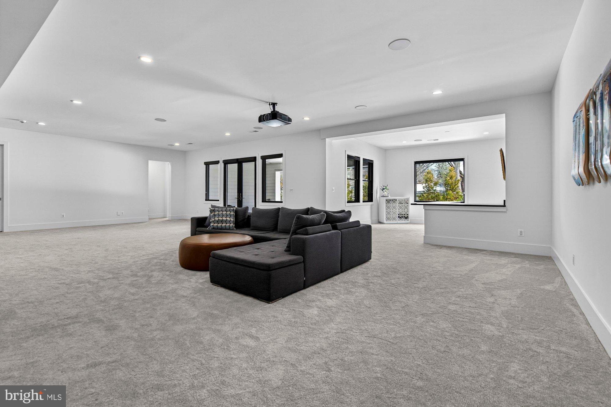 1221 Riley Preserve Court McLean, VA 22102 - Photo 61 of 94 a living room with furniture and a potted plant