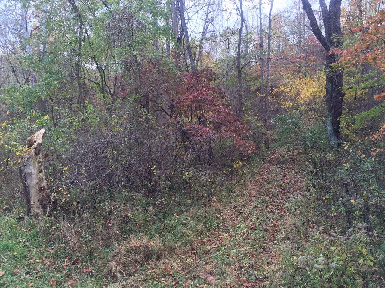 0 Leater Road Logan, OH 43138 - Photo 1 of 5