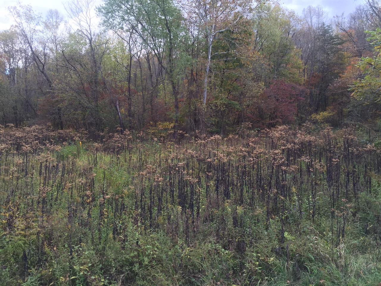 0 Leater Road Logan, OH 43138 - Photo 3 of 5