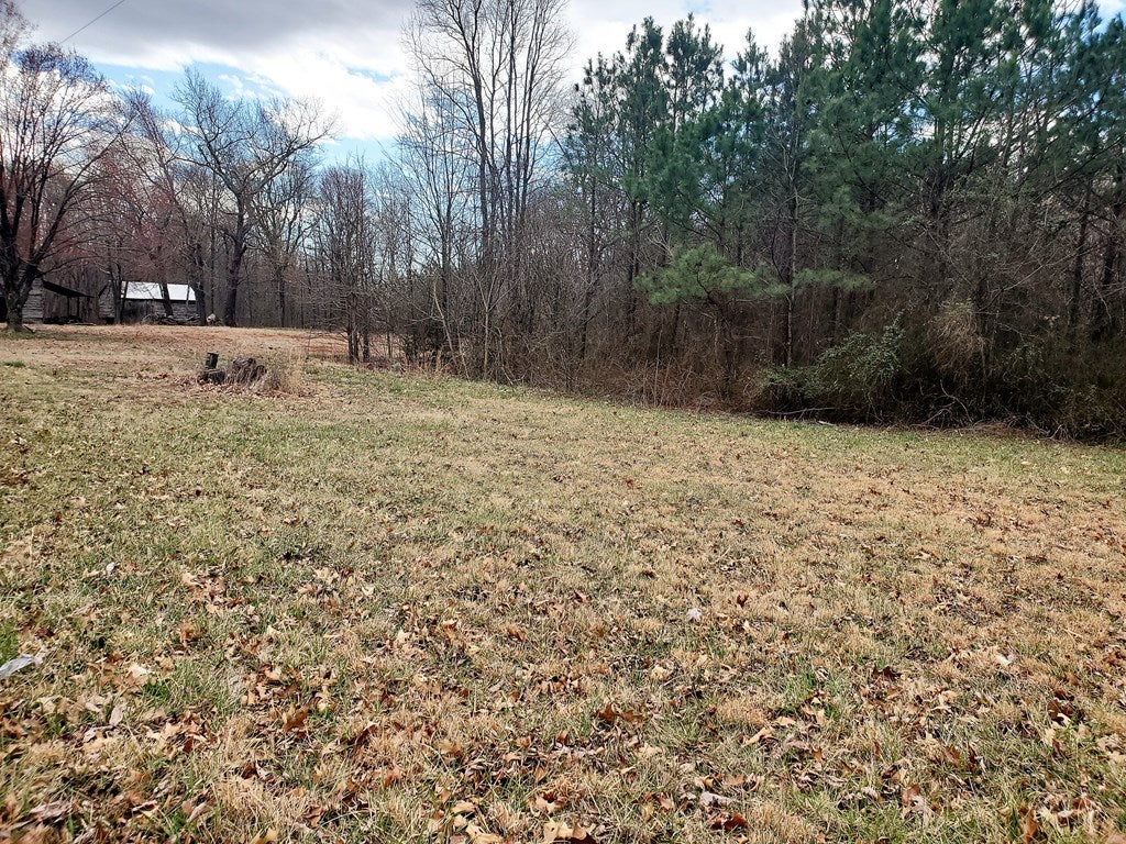 4551 Spring Mill Road Concord, VA 24538 - Photo 6 of 7 Gallery Image 6