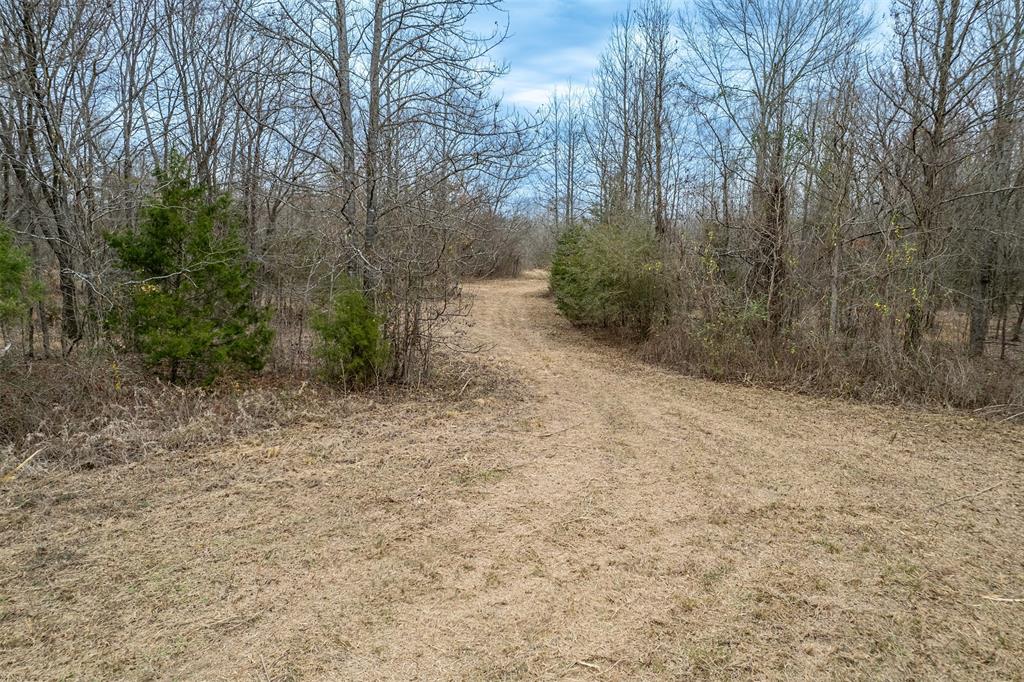 139 Northwest County Road, Unit 1061 Talco, TX 75487 - Photo 24 of 39 a view of a yard with trees