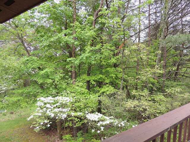 9212 Engle Road Logan, OH 43138 - Photo 23 of 25