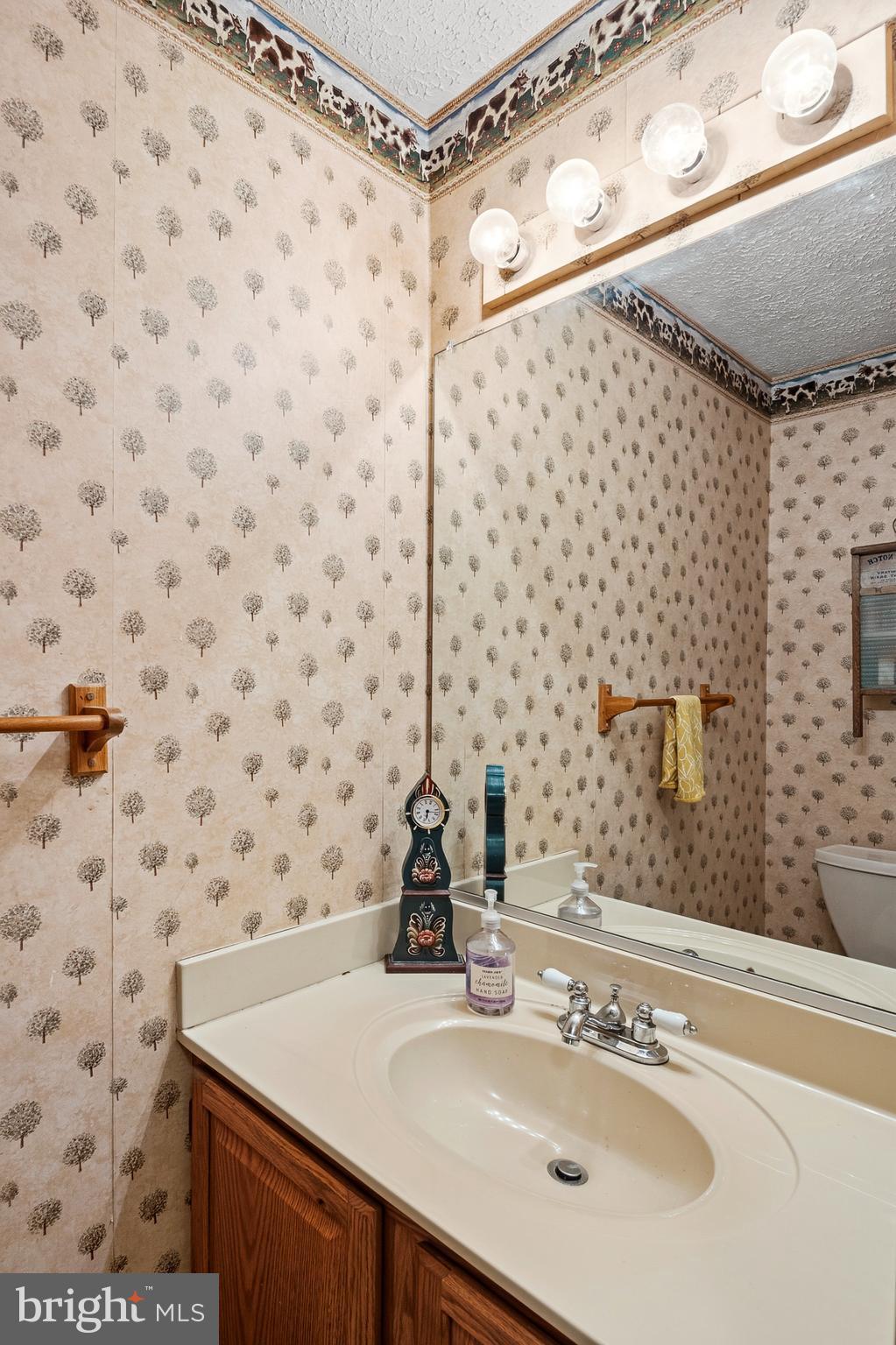 6415 Michael Elizabeth Way Hanover, MD 21076 - Photo 18 of 32 a bathroom with a sink mirror and shower