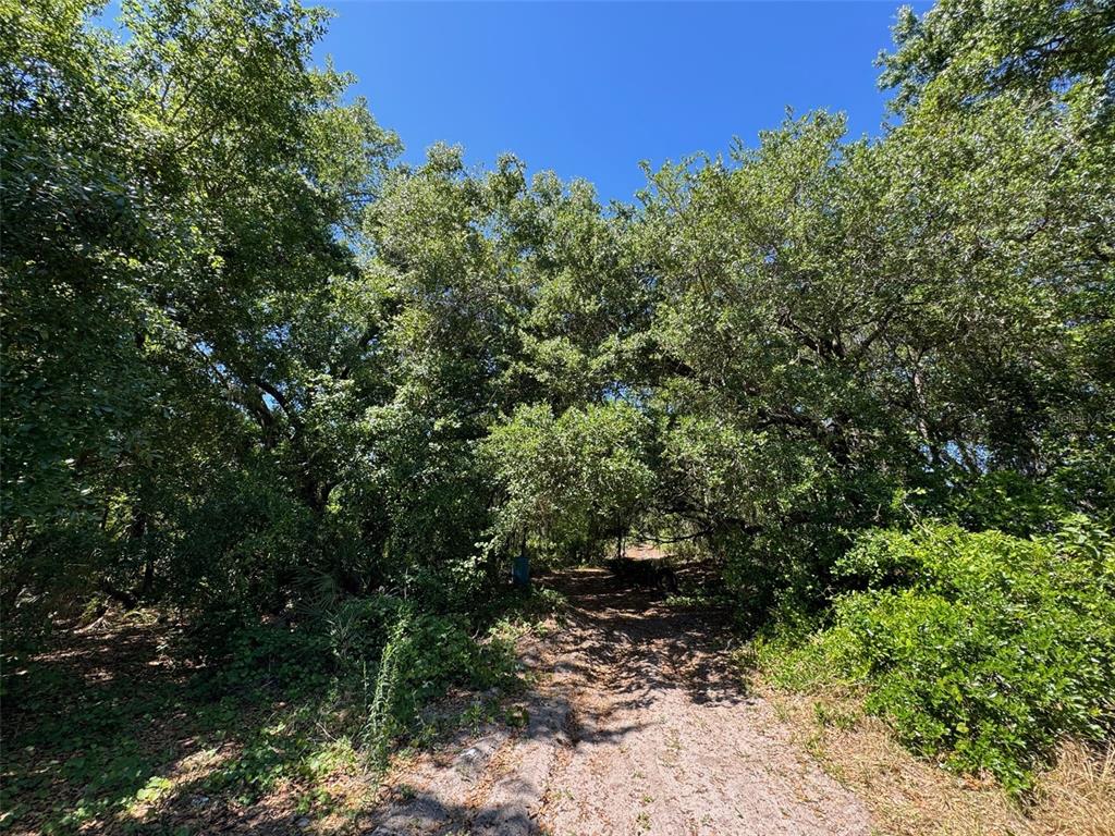 0 Clark Road St. Cloud, FL 34772 - Photo 2 of 23