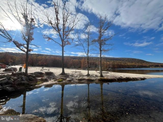 5 Tioga Drive Hazleton, PA 18202 - Photo 72 of 92