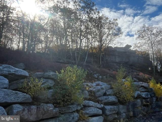 5 Tioga Drive Hazleton, PA 18202 - Photo 89 of 92