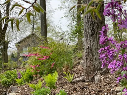 $1,995,000 | 161 Boulevard, Mountain Lakes, NJ 07046