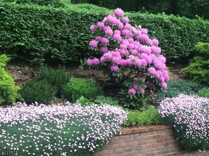 $1,995,000 | 161 Boulevard, Mountain Lakes, NJ 07046