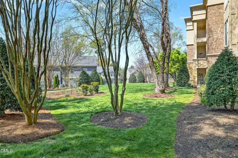 a view of a yard in front of a tree