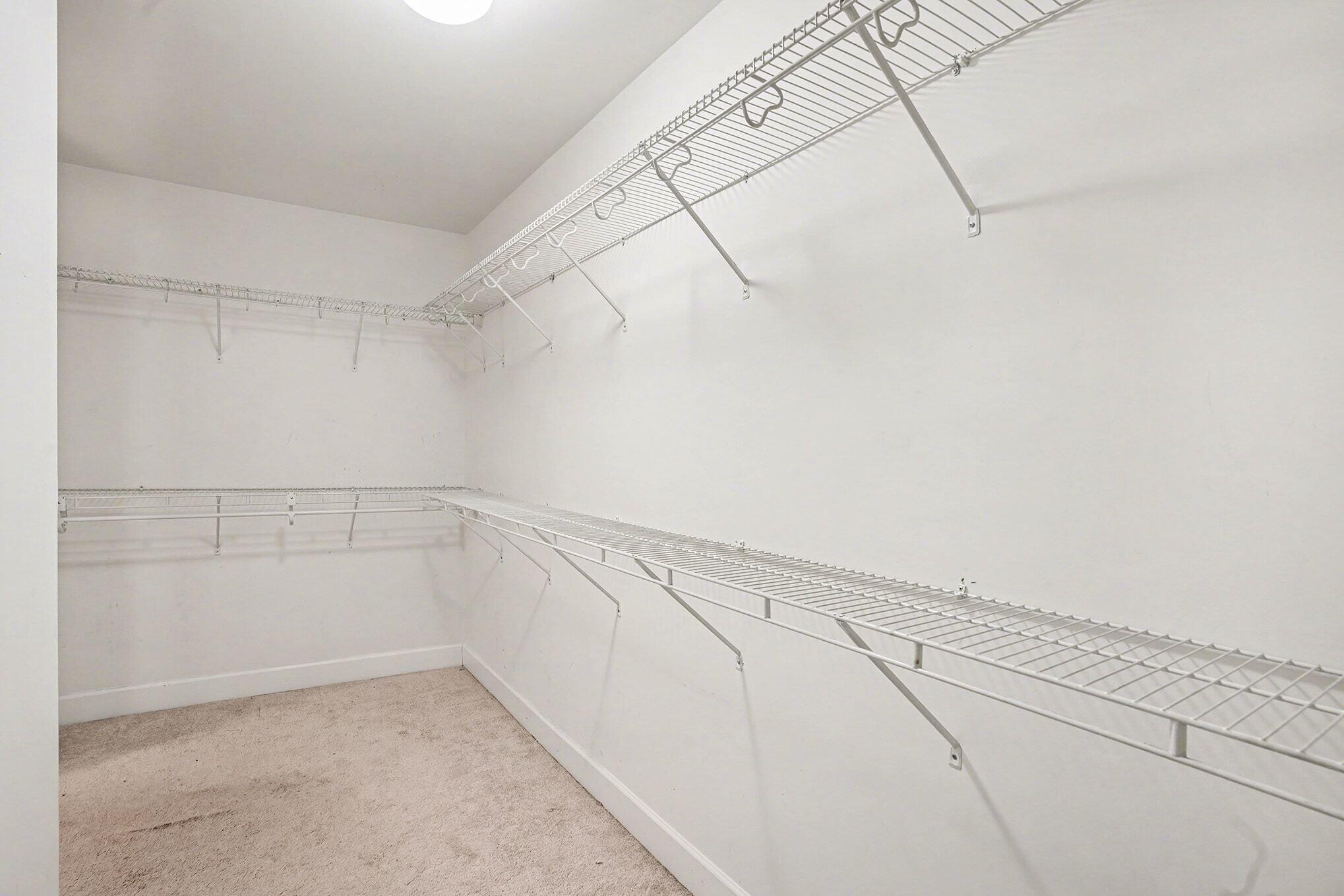 208 Buttonbush Court Moncks Corner, SC 29461 - Photo 23 of 38 Walk-In Closet