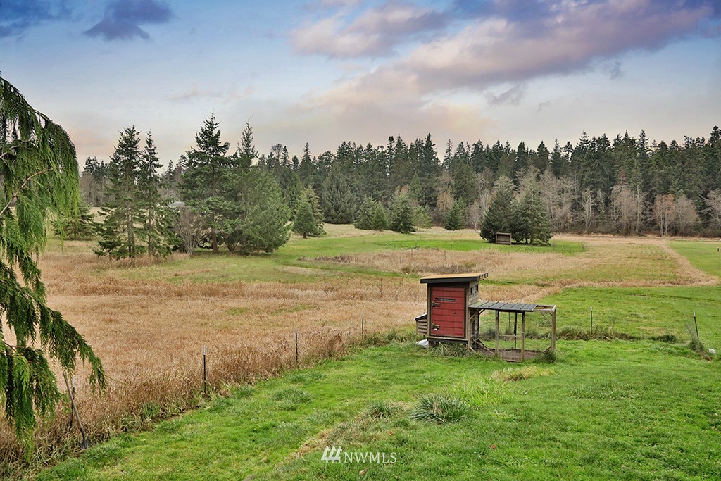 6301 Wahl Road Freeland, WA 98249 - Photo 2 of 40 a view of a big yard with potted plants and large tree