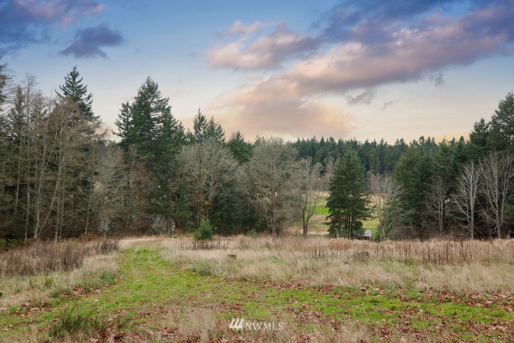 6301 Wahl Road Freeland, WA 98249 - Photo 36 of 40 a view of a yard