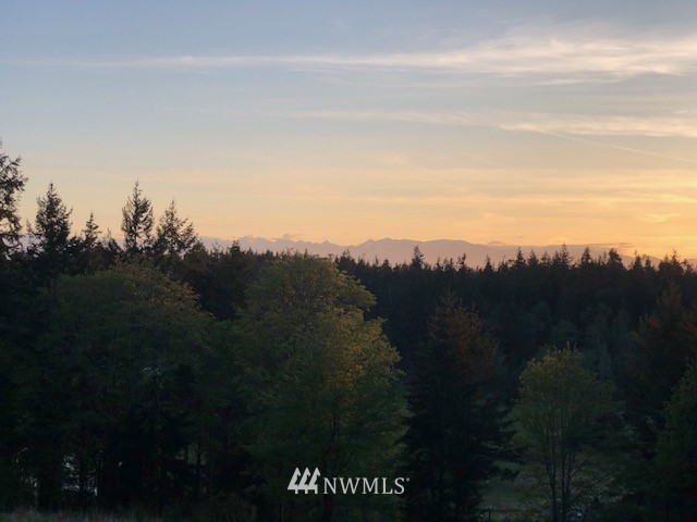 6301 Wahl Road Freeland, WA 98249 - Photo 37 of 40 a view of a city