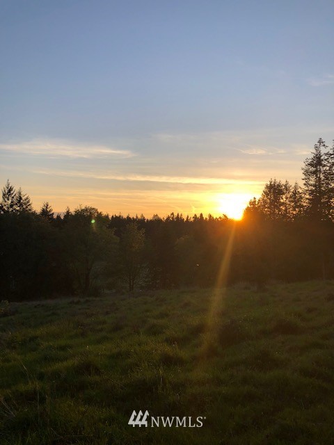 6301 Wahl Road Freeland, WA 98249 - Photo 38 of 40 a view of mountain