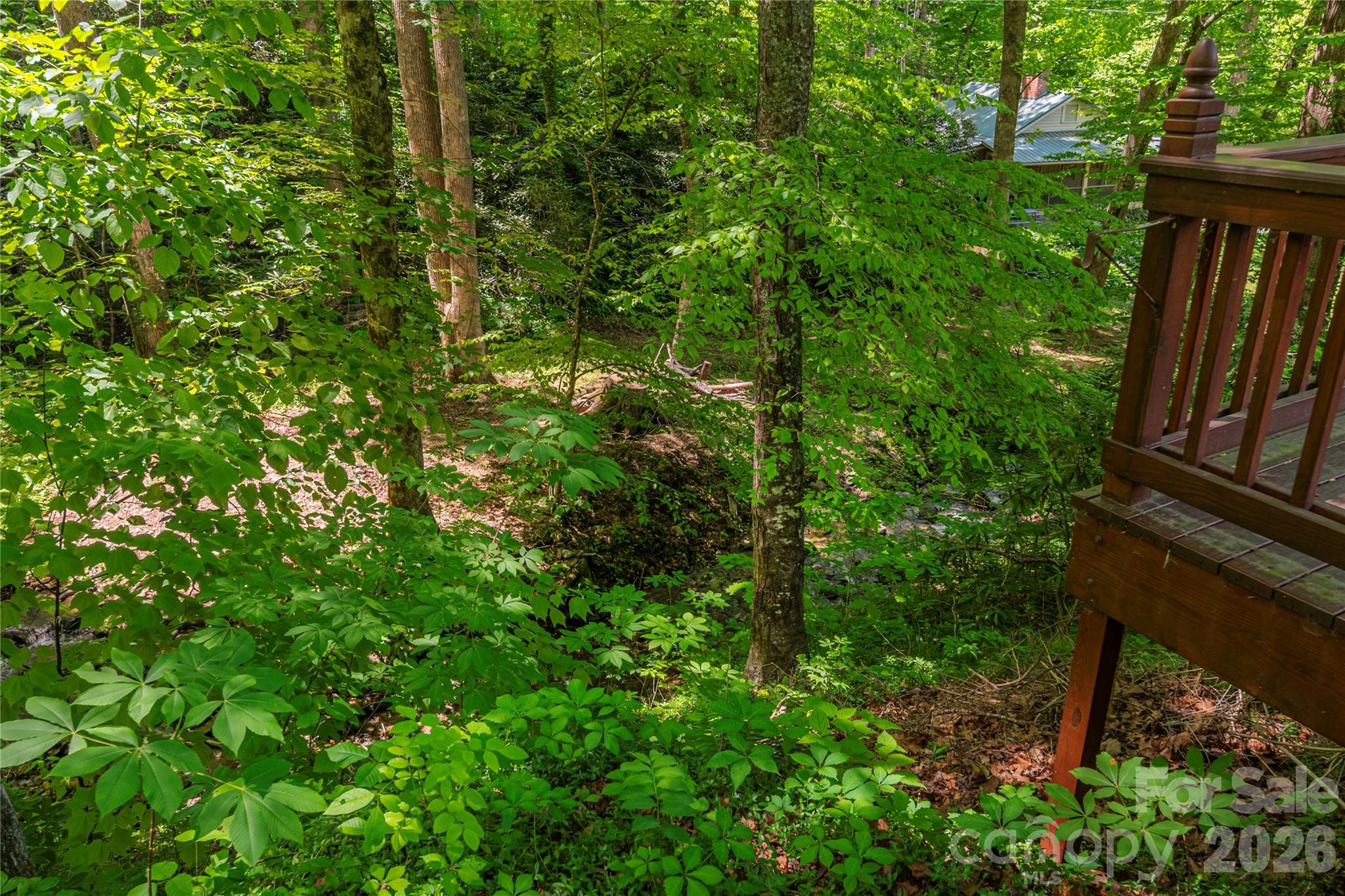 868 Cabin Flts Road Balsam, NC 28707 - Photo 20 of 22
