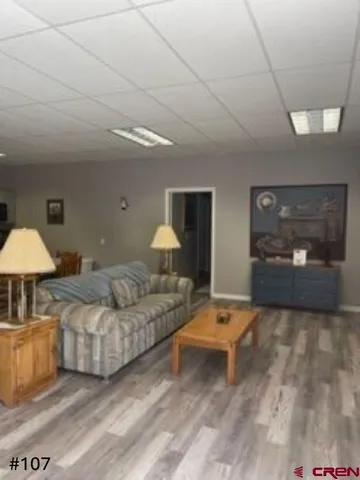 a living room with furniture and a kitchen