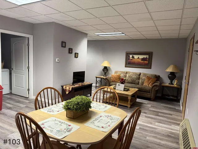 a living room with furniture flowerpot and a lamp