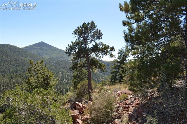 552 Andes Road Cripple Creek, CO 80813 - Photo 13 of 16