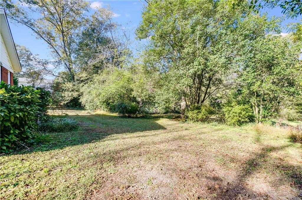 427 East College Street Bowdon, GA 30108 - Photo 26 of 30 a view of backyard with green space