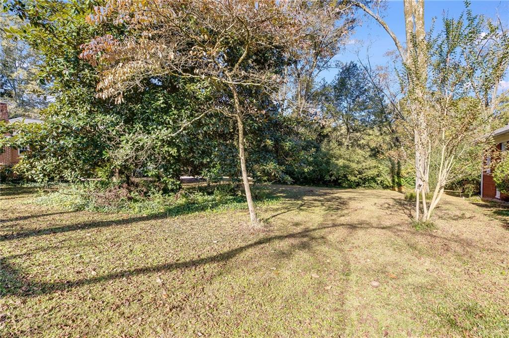 427 East College Street Bowdon, GA 30108 - Photo 28 of 30 a view of a yard with basketball court