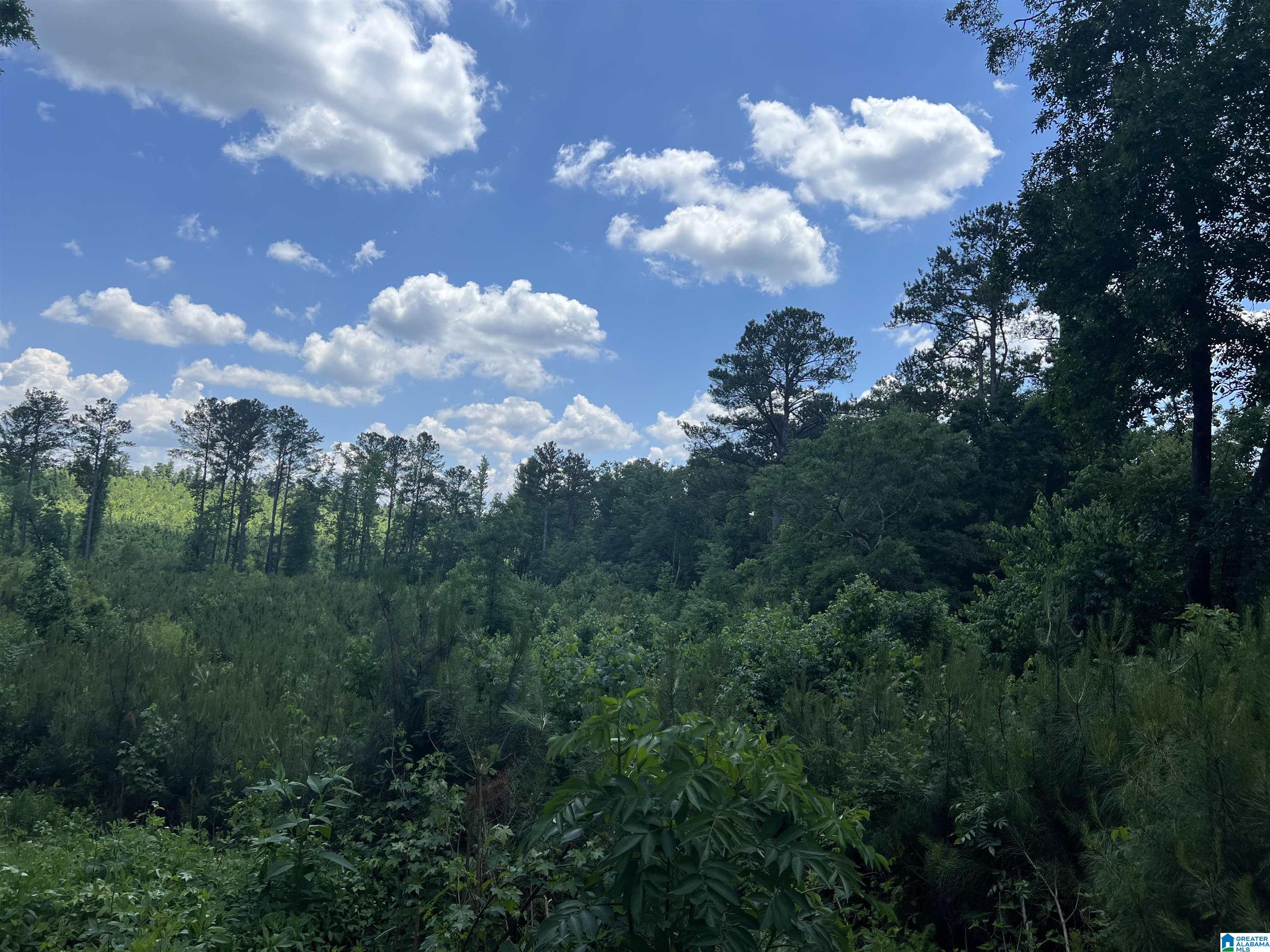 0 Altoona Cutoff Road, Unit 47 5 Oneonta, AL 35121 - Photo 33 of 36