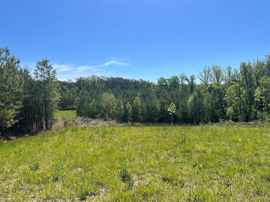 0 Palmer Road Westfield, NC 27053 - Photo 1 of 1