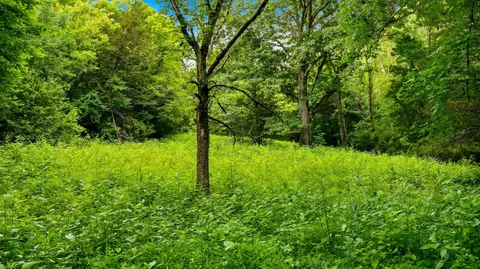 $1,249,900 | 427 Adams Road, Watertown, TN 37184