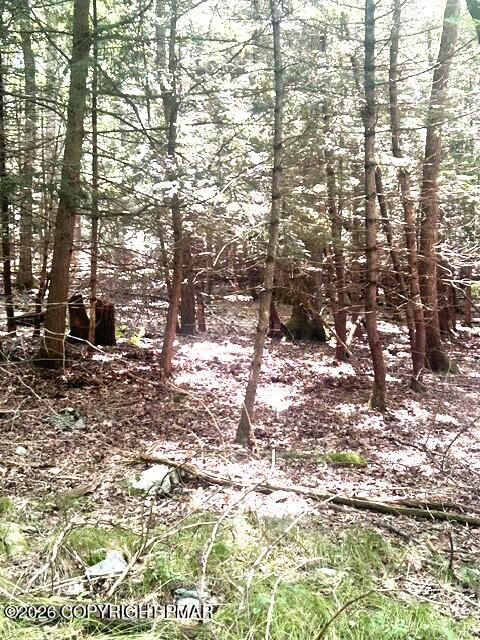Bear Town Road Canadensis, PA 18325 - Photo 4 of 4 Beartown Rd pic 4