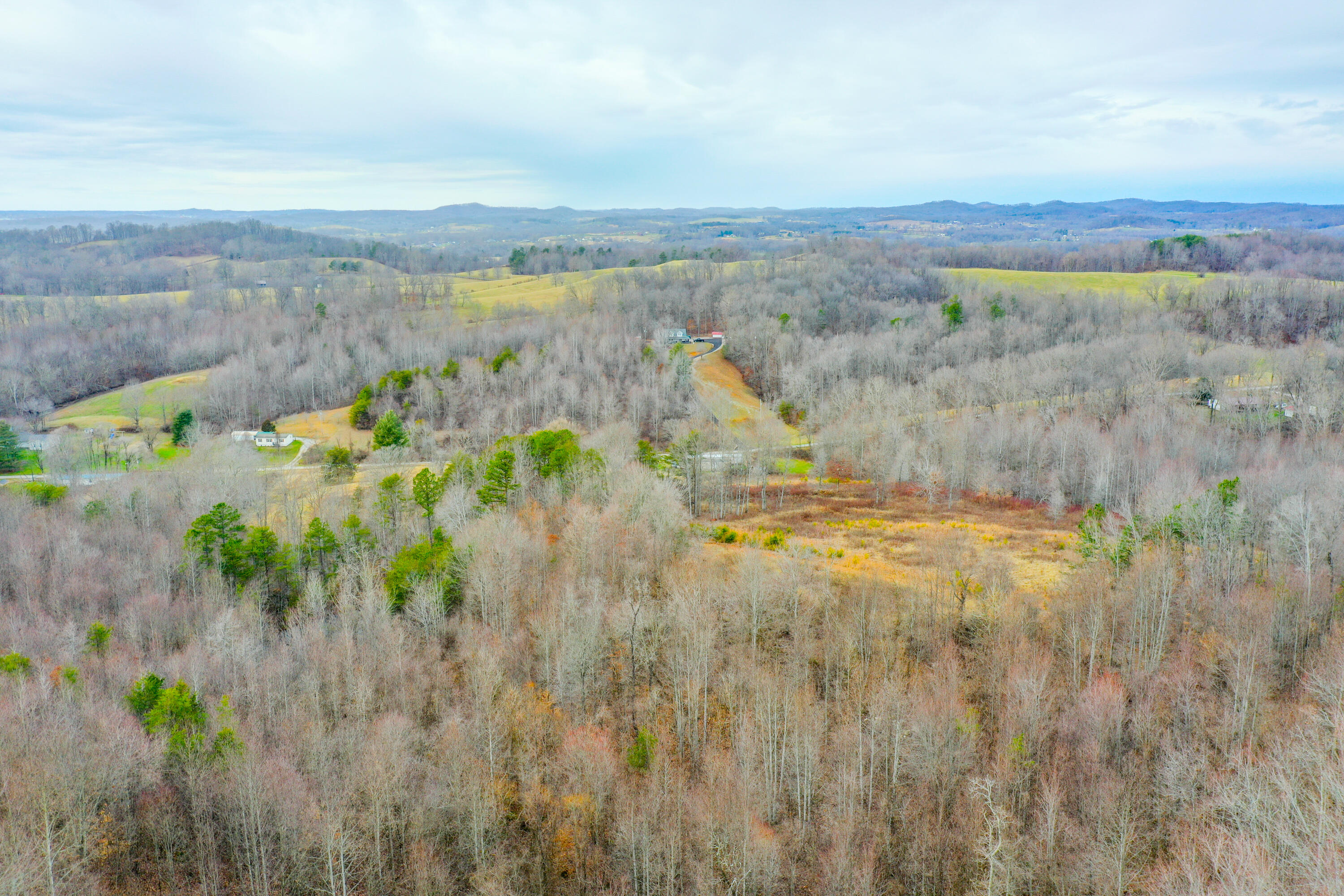 1763 Burnett Road London, KY 40744 - Photo 20 of 92 org_361475baab784967_1706642544000-HDR