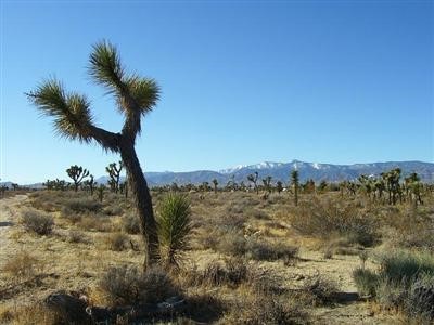0 Schlutz Road Phelan, CA 92371 - Photo 1 of 1 Great views from lot!!!!