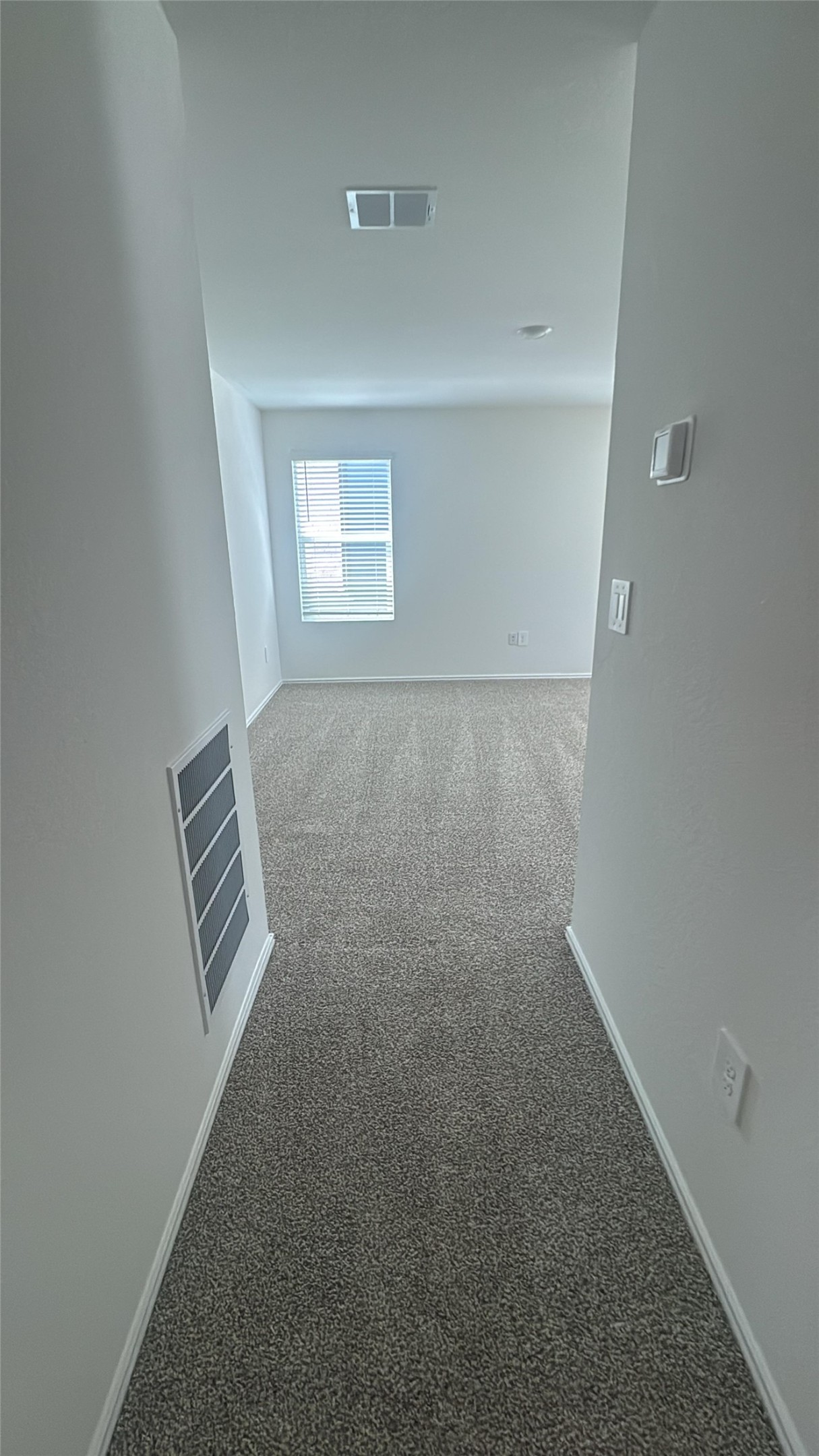 174 Balmorhea Street Kyle, TX 78640 - Photo 10 of 29 A well-lit hallway with plush carpeting extends into a sun-filled room, promising comfort and versatility.