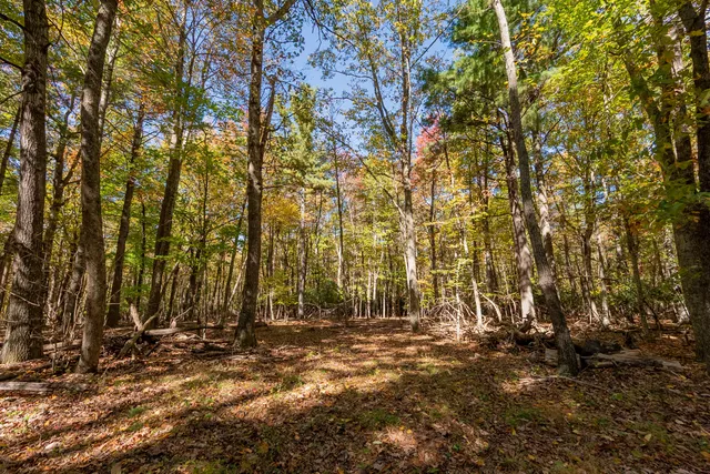 a view of a small yard