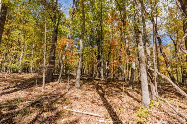 $610,000 | 5531 Franklin Pike Southeast, Floyd, VA 24091